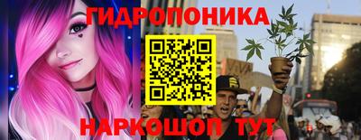 apvp Гай